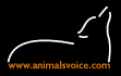 Animals Voice Logo