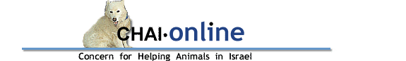 Concern for Helping Animals in Israel